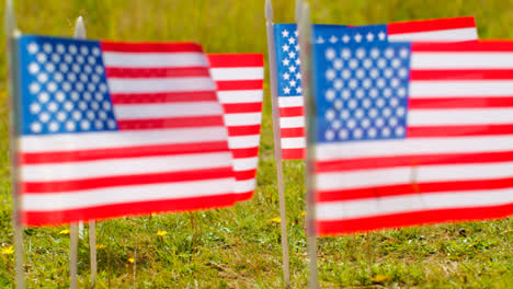 Close-Up-Of-Group-Of-Small-American-Stars-And-Stripes-Flags-Outdoors-In-Countryside-Field-Or-Garden-Moving-In-Wind-4