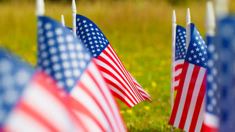 Close-Up-Of-Group-Of-Small-American-Stars-And-Stripes-Flags-Outdoors-In-Countryside-Field-Or-Garden-Moving-In-Wind-4