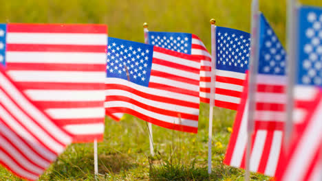 Close-Up-Of-Group-Of-Small-American-Stars-And-Stripes-Flags-Outdoors-In-Countryside-Field-Or-Garden-Moving-In-Wind-8