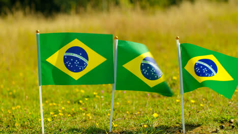 Close-Up-Of-Line-Of-Small-Brazilian-National-Flags-Outdoors-In-Countryside-Field-Or-Garden-Moving-In-Wind