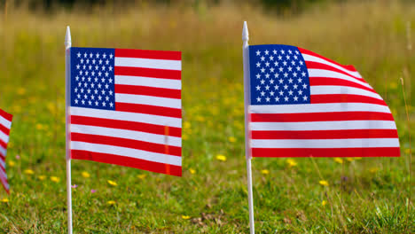 Close-Up-Of-Line-Of-Small-American-Stars-And-Stripes-Flags-Outdoors-In-Countryside-Field-Or-Garden-Moving-In-Wind