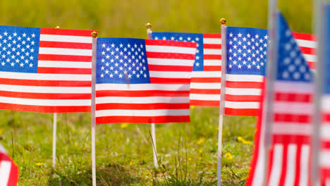 Close-Up-Of-Group-Of-Small-American-Stars-And-Stripes-Flags-Outdoors-In-Countryside-Field-Or-Garden-Moving-In-Wind-7