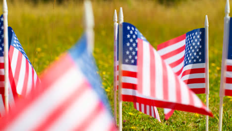 Close-Up-Of-Group-Of-Small-American-Stars-And-Stripes-Flags-Outdoors-In-Countryside-Field-Or-Garden-Moving-In-Wind