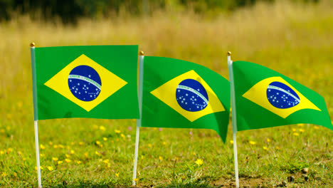 Close-Up-Of-Line-Of-Small-Brazilian-National-Flags-Outdoors-In-Countryside-Field-Or-Garden-Moving-In-Wind-1