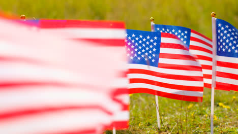 Close-Up-Of-Group-Of-Small-American-Stars-And-Stripes-Flags-Outdoors-In-Countryside-Field-Or-Garden-Moving-In-Wind-6