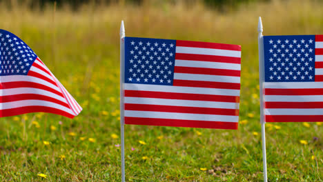 Close-Up-Of-Line-Of-Small-American-Stars-And-Stripes-Flags-Outdoors-In-Countryside-Field-Or-Garden-Moving-In-Wind-1