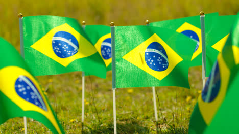 Close-Up-Of-Group-Of-Small-Brazilian-National-Flags-Outdoors-In-Countryside-Field-Or-Garden-Moving-In-Wind-2