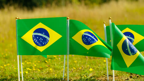 Close-Up-Of-Group-Of-Small-Brazilian-National-Flags-Outdoors-In-Countryside-Field-Or-Garden-Moving-In-Wind