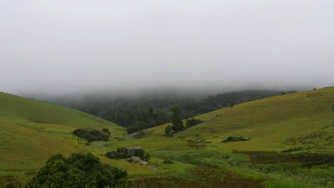 Weitwinkelansicht-Des-Nebels,-Der-über-Die-Wiesen-In-Ooty-Tamilnadu-Indien-Fließt