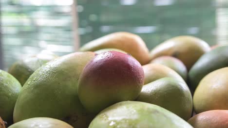 Dolly-in-and-closeup-of-person-picking-up-red-mango-from-pile-of-mangoes