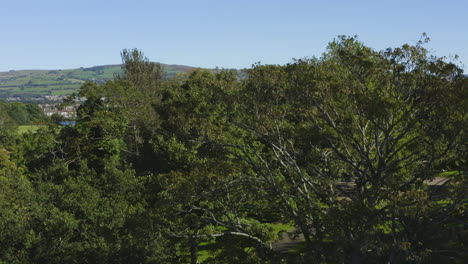 Drone-Shot-Rising-Over-Trees-Revealing-Caerphilly-Castle-04