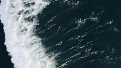 Drone-Shot-Mirando-Hacia-Abajo-Sobre-Un-Grupo-De-Surfistas-Que-Intentan-Nadar-Contra-Las-Olas