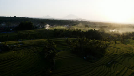 Drone-Shot-Flying-Over-Jatiluwih-Rice-Terraces