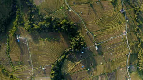 Drone-Shot-Descending-On-Jatiluwih-Rice-Terraces