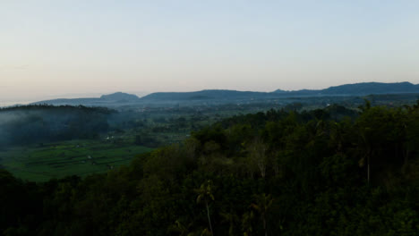 Drone-Shot-Orbiting-Trees-In-Landscape-Surrounding-Mount-Agung-Volcano