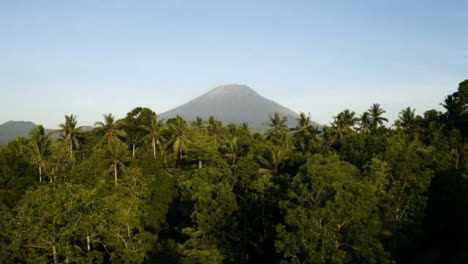 Drone-Shot-Passing-Over-Trees-and-Looking-Towards-Mount-Agung-Volcano
