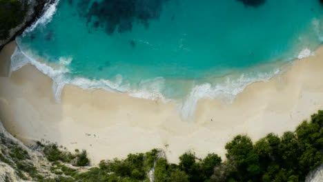 Drone-Shot-Ascending-Above-Tropical-Island-Beach-