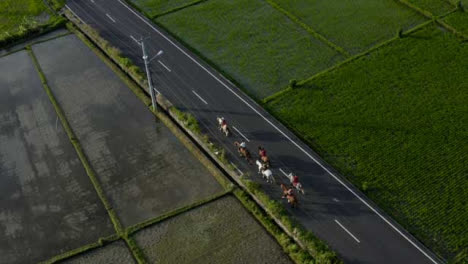 Drone-Shot-Orbiting-a-Group-of-Horse-Riders-On-Road-