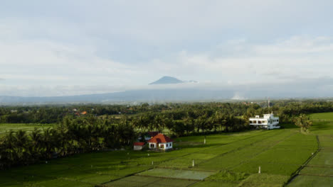 Drone-Shot-Flying-Over-Trees-Looking-Towards-Mountain-In-Distance