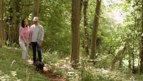 Wide-Shot-of-a-Middle-Aged-Couple-Walking-Through-Scenic-Woodland