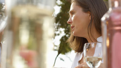 Low-Angle-Shot-Looking-Up-at-Middle-Aged-Couple-Enjoying-an-Alfresco-Dinner