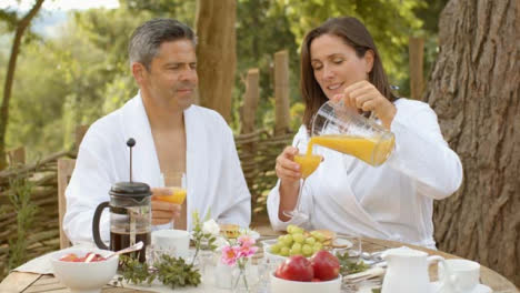 Wide-Shot-of-Middle-Aged-Couple-Bringing-Their-Glasses-of-Orange-Juice-Together