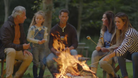 Long-Shot-of-Family-Sitting-Around-Campfire-01