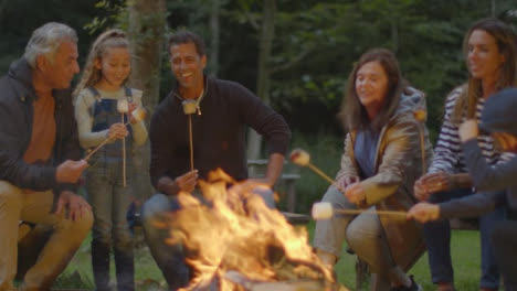 Long-Shot-of-Family-Sitting-Around-Campfire-02