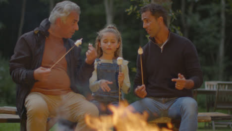 Long-Shot-of-Father,-Grandfather-and-Daughter-Sitting-by-Campfire