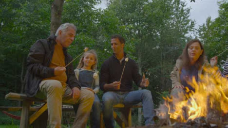 Tilting-Shot-of-Family-Toasting-Marshmallows-On-Camping-Trip