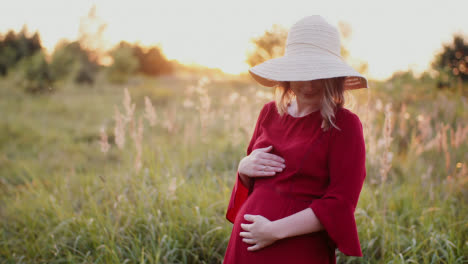 Pregnant-Woman-Walking-On-A-Meadow-In-Sunset-8