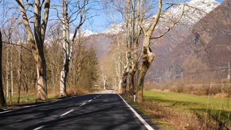 Driving-Along-Tree-Lined-Road-with-Mountains