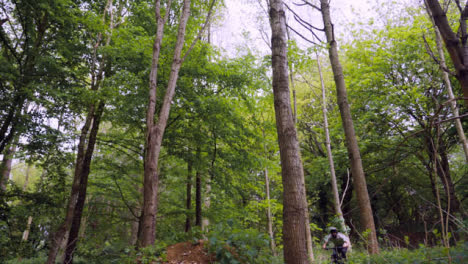 Slow-Motion-Shot-Of-Man-On-Mountain-Bike-Making-Mid-Air-Jump-On-Dirt-Trail-Through-Woodland-13