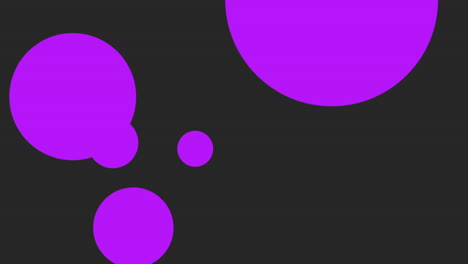 Purple-drops-water-on-black-pattern