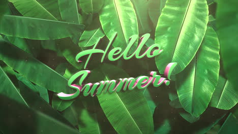 Hello-Summer-on-green-tropical-palm-tree-in-jungle