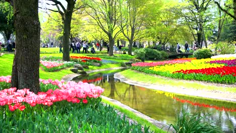 Hermoso-jardín-de-flores-en-Tokio,-Japón.