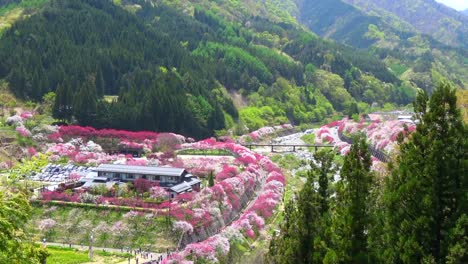 Japan-Landschaft