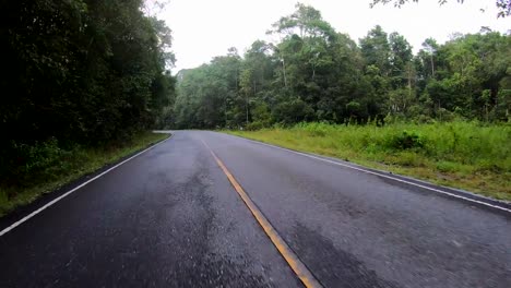 Coche-que-conduce-en-el-bosque