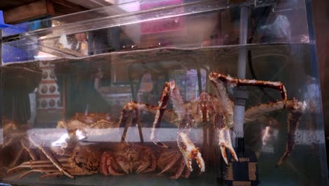 live-crab-in-a-fish-tank-at-tsukiji-market-in-japan