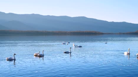 Lago-Kussharo,-hokkaido,-Japón.