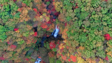 Luftaufnahme-des-Kirifuri-Wasserfall-und-im-Herbst-Laub,-Nikko,-Tochigi,-Japan