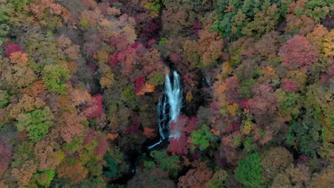 Aerial-view-of-Kirifuri-waterfall-and-autumn-foliage,-Nikko,-Tochigi,-Japan