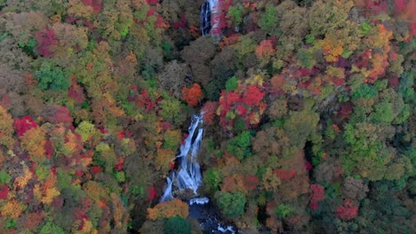 Vista-aérea-de-Kirifuri-cascada-y-otoño-follaje,-Nikko,-Tochigi,-Japón