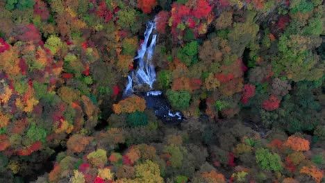 Aerial-view-of-Kirifuri-waterfall-and-autumn-foliage,-Nikko,-Tochigi,-Japan