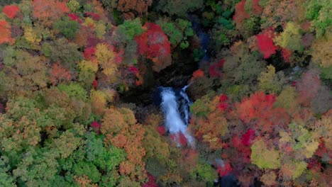 Luftaufnahme-des-Kirifuri-Wasserfall-und-im-Herbst-Laub,-Nikko,-Tochigi,-Japan