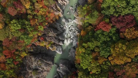 Luftaufnahme-des-Ryuokyo-Tal-und-im-Herbst-Laub,-Nikko,-Tochigi,-Japan