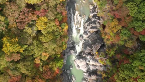 Aerial-view-of-Ryuokyo-valley-and-autumn-foliage,-Nikko,-Tochigi,-Japan