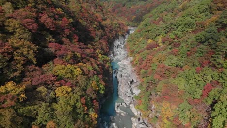 Luftaufnahme-des-Ryuokyo-Tal-und-im-Herbst-Laub,-Nikko,-Tochigi,-Japan