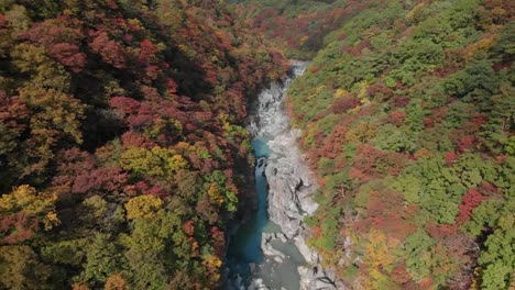 Vista-aérea-de-Ryuokyo-valle-y-otoño-follaje,-Nikko,-Tochigi,-Japón