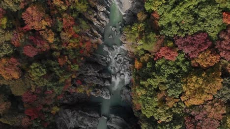 Vista-aérea-de-Ryuokyo-valle-y-otoño-follaje,-Nikko,-Tochigi,-Japón